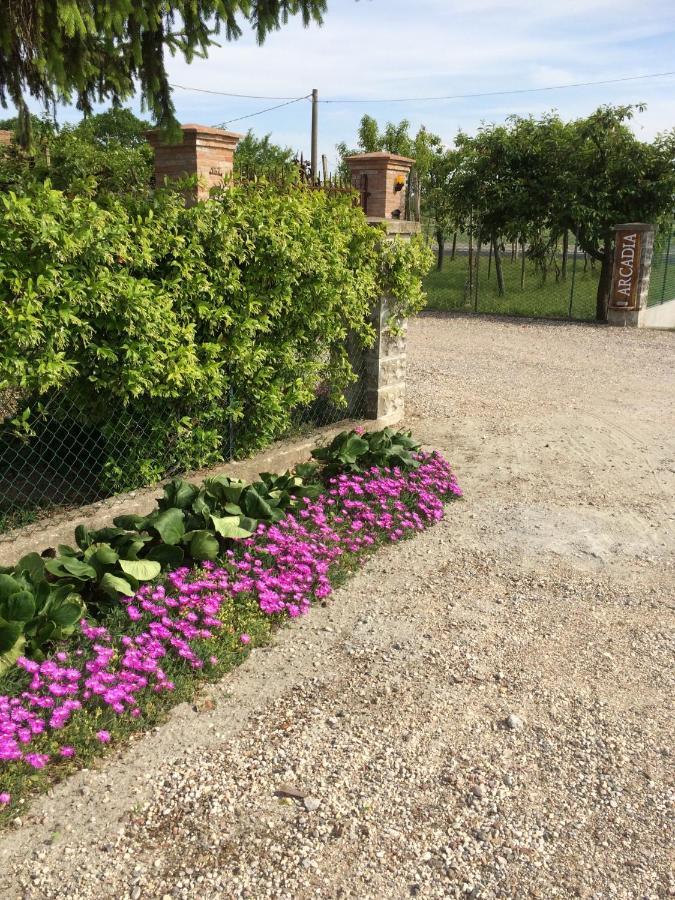 B&B Arcadia Gualtieri Exterior photo